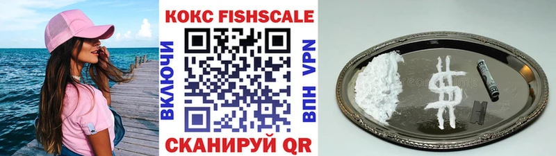 где купить наркотик  Западная Двина  COCAIN Fish Scale 