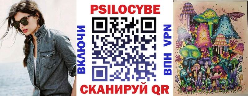 дарнет шоп  Западная Двина  Псилоцибиновые грибы Magic Shrooms 